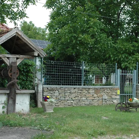 Szerencsepatkó